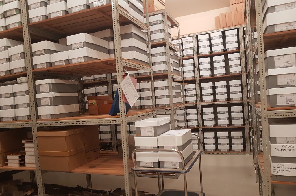 photo of collections store with new boxes in place